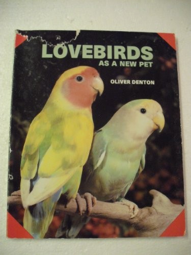 Lovebirds new pet - -, good