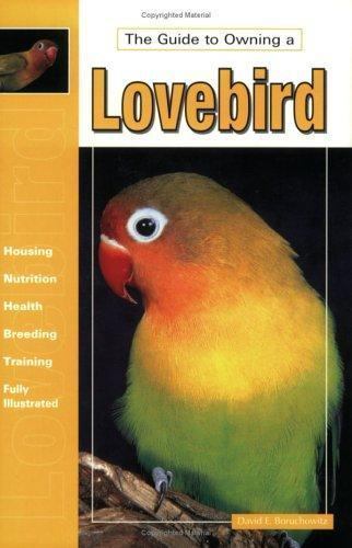 The guide owning lovebird - the, to